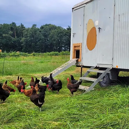 Heidehof Kuppendorf Appartement Kirchdorf (Lower Saxony)