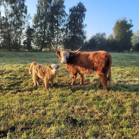 Heidehof Kuppendorf *
