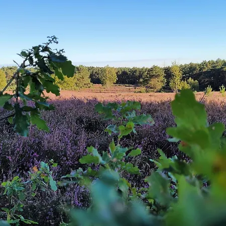 Heidehof Kuppendorf * Kirchdorf (Lower Saxony)