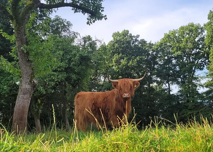 Heidehof Kuppendorf Kirchdorf (Lower Saxony)