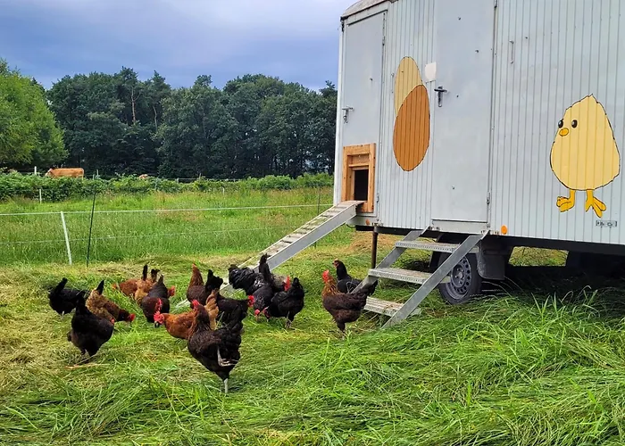 Heidehof Kuppendorf Appartement Kirchdorf (Lower Saxony)