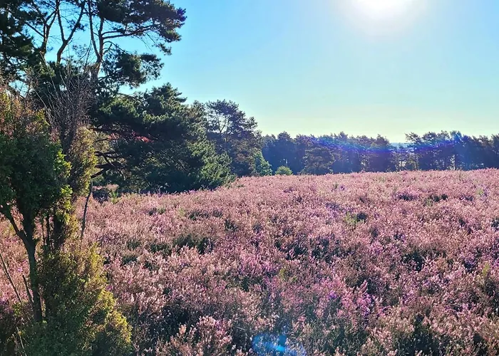 Heidehof Kuppendorf Kirchdorf (Lower Saxony)