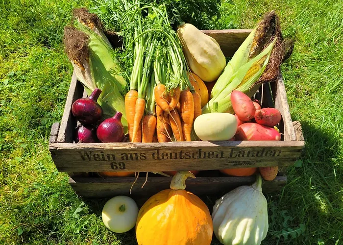 Heidehof Kuppendorf Appartement *