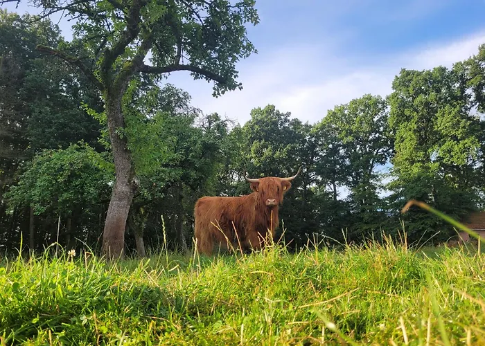 Appartement Heidehof Kuppendorf Kirchdorf (Lower Saxony)