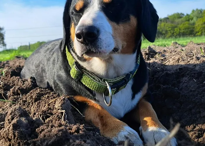 Heidehof Kuppendorf * Kirchdorf (Lower Saxony)