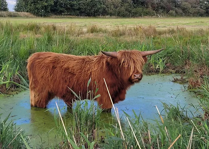 Heidehof Kuppendorf Kirchdorf (Lower Saxony)