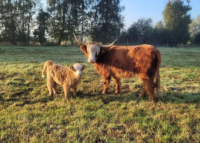 Heidehof Kuppendorf *