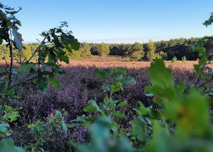 Heidehof Kuppendorf * Kirchdorf (Lower Saxony)